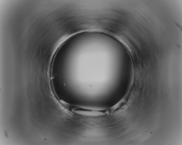 X0000097750959200803141554