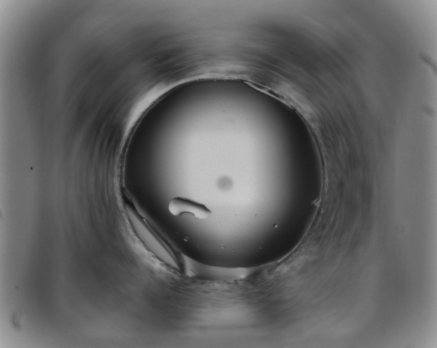 X0000097750960200803141554