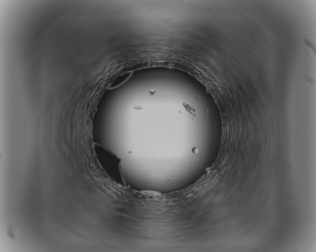 X0000097750961200803141553