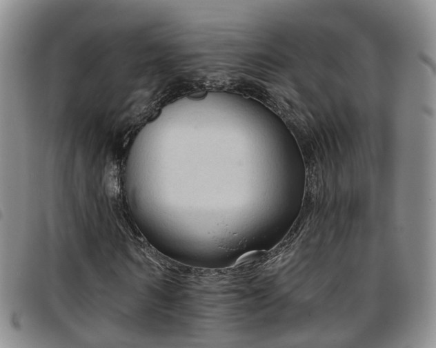 X0000097750962200803141553