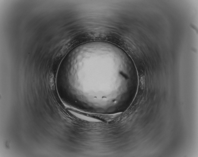 X0000097750963200803141553