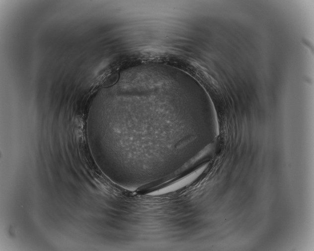 X0000097750964200803141553