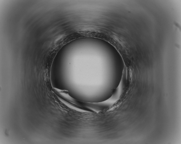 X0000097750965200803141553