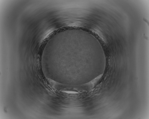 X0000097750968200803141553