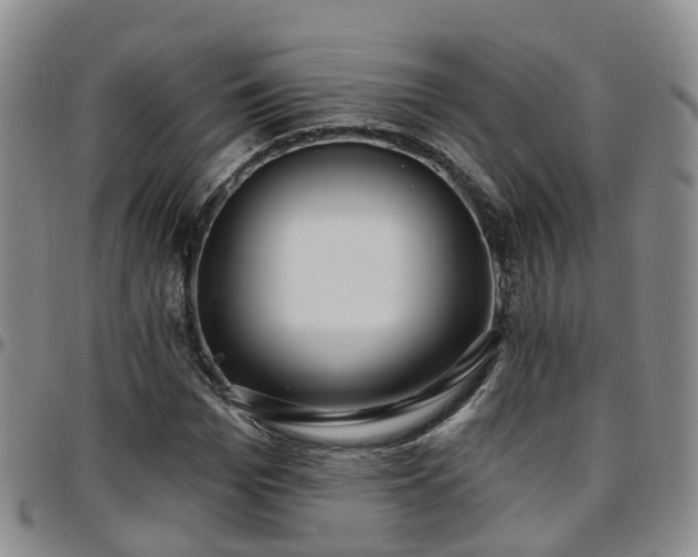 X0000097750969200803141553