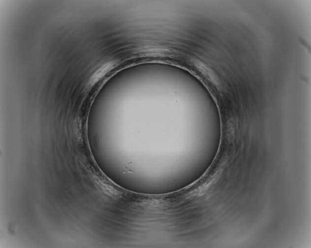 X0000097750970200803141553