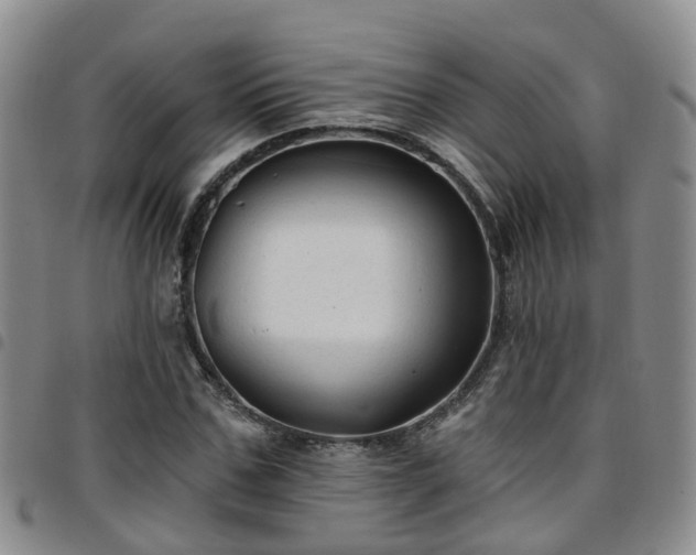 X0000097750971200803141553