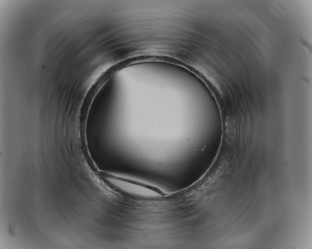 X0000097750972200803141553