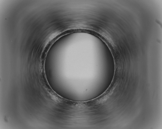 X0000097750974200803141553