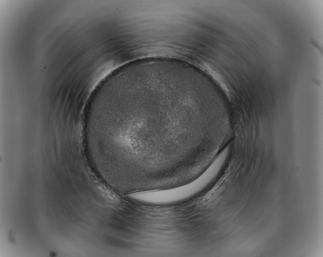 X0000097750975200803141553