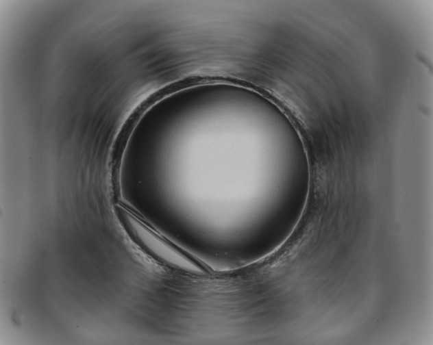 X0000097750976200803141553