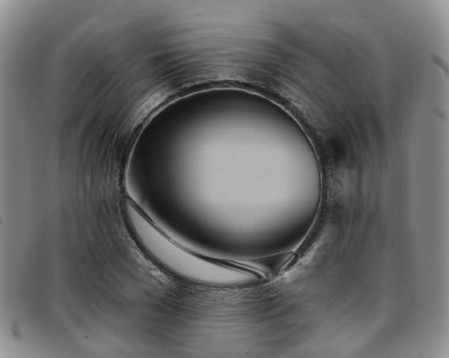 X0000097750977200803141553