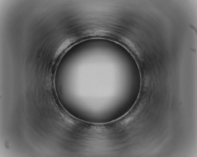 X0000097750978200803141553