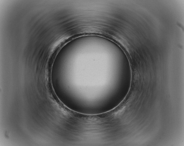 X0000097750979200803141553