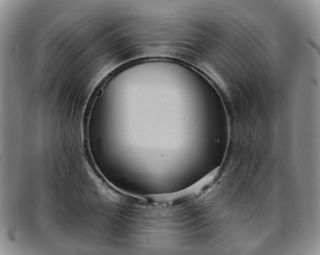 X0000097750980200803141553