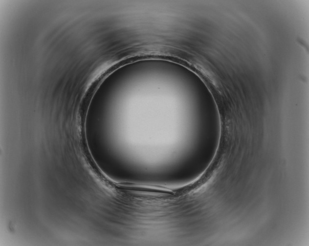 X0000097750981200803141553