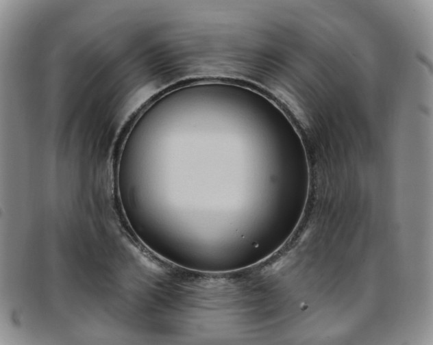 X0000097750982200803141553