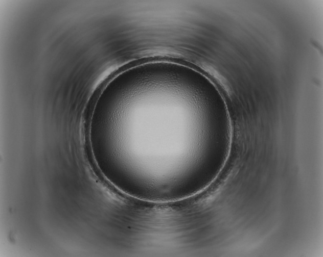 X0000097750983200803141553