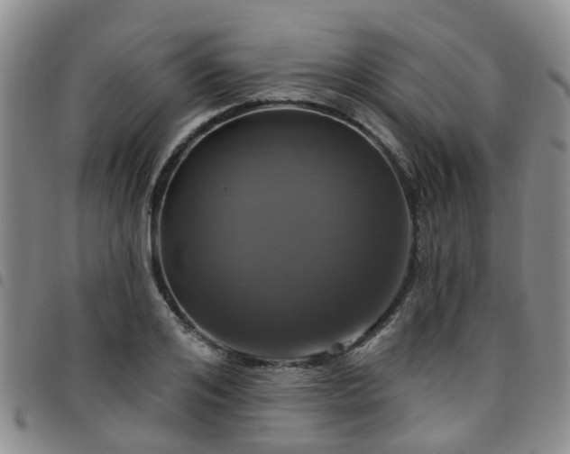 X0000097750984200803141553