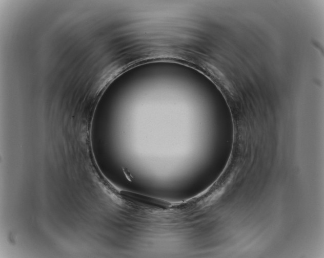 X0000097750985200803141553