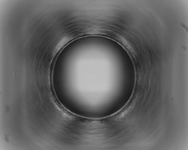 X0000097750986200803141553