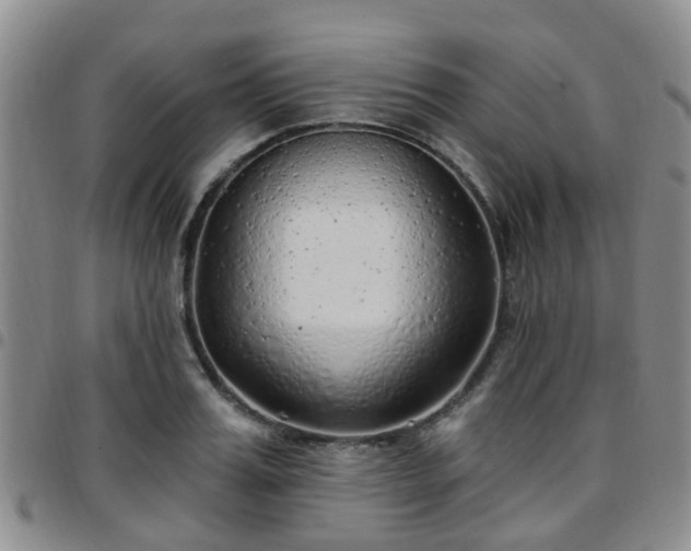 X0000097750987200803141553