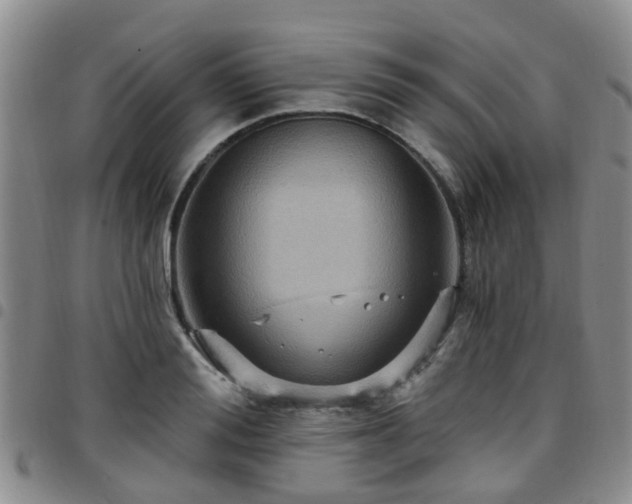 X0000097750988200803141553