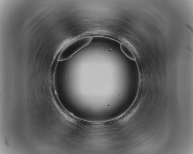 X0000097750989200803141553