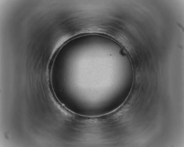 X0000097750990200803141553