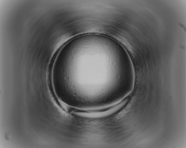 X0000097750991200803141553