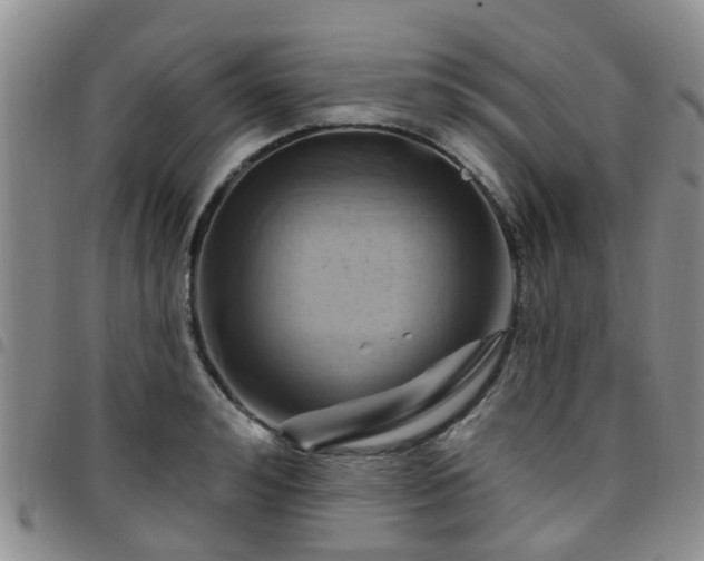 X0000097750992200803141552