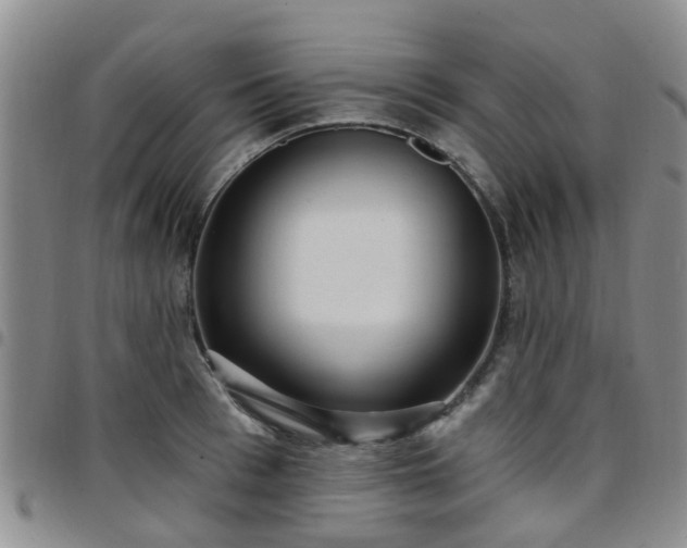 X0000097750993200803141552