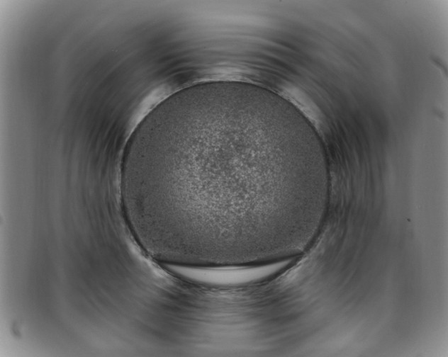 X0000097750994200803141552