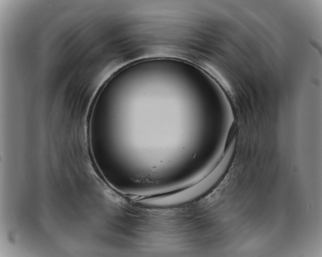 X0000097750996200803141552