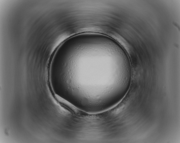 X0000097750999200803141552