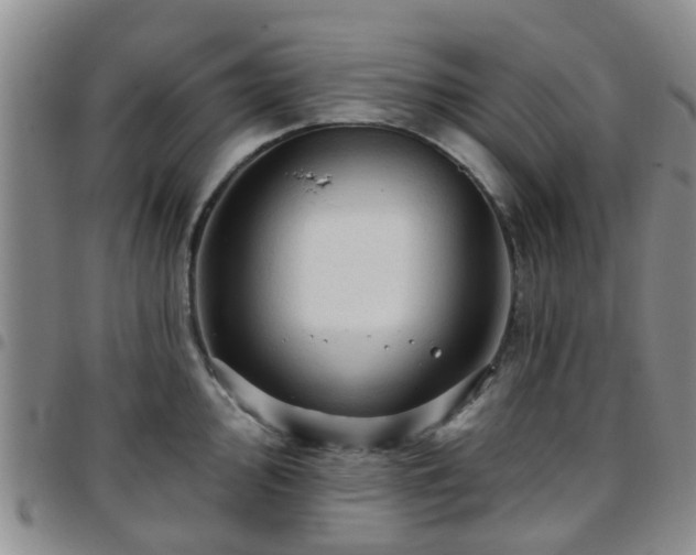 X0000097751000200803141552