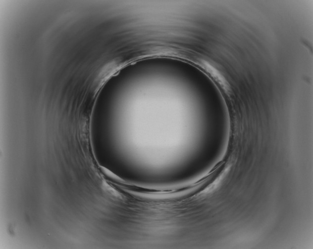 X0000097751001200803141552