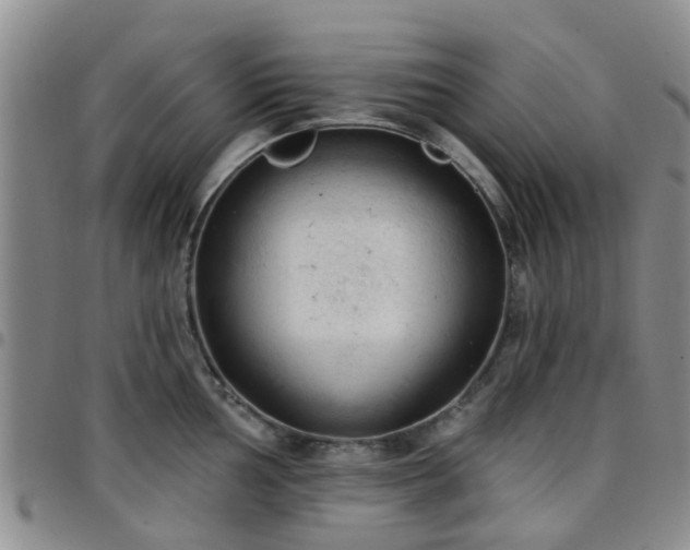 X0000097751002200803141552