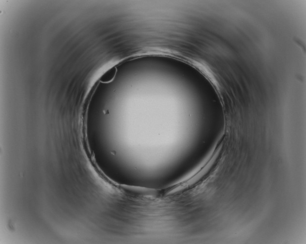 X0000097751003200803141552