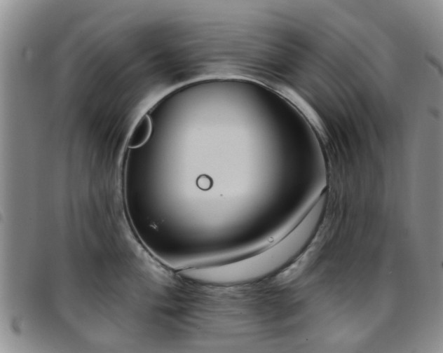 X0000097751004200803141552