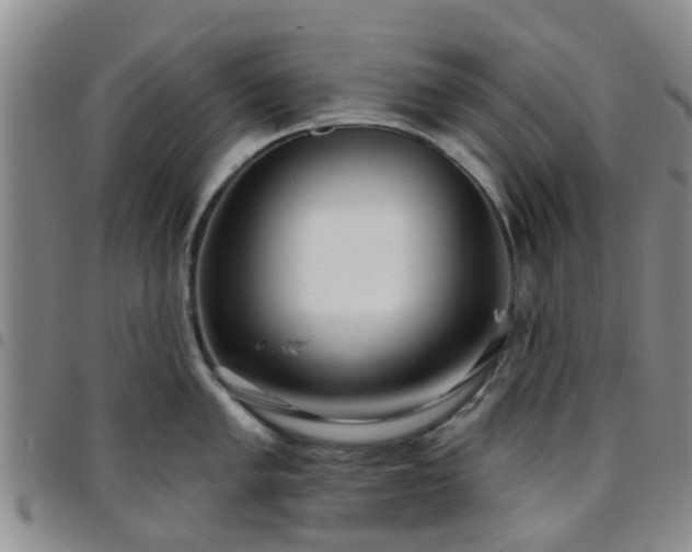 X0000097751005200803141552