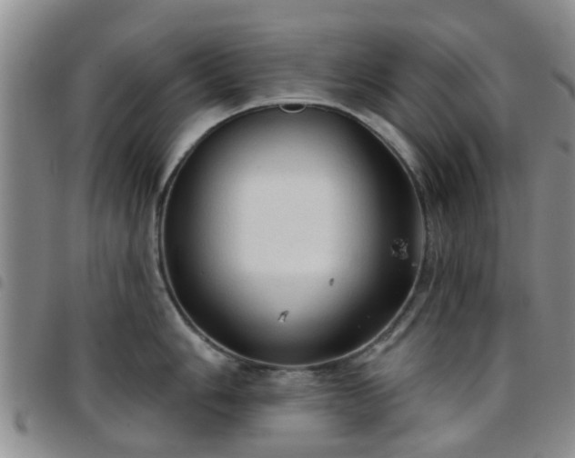 X0000097751006200803141552