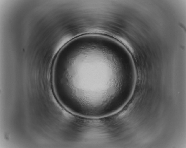 X0000097751007200803141552