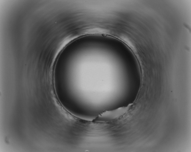 X0000097751008200803141552