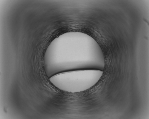 X0000097751009200803141551