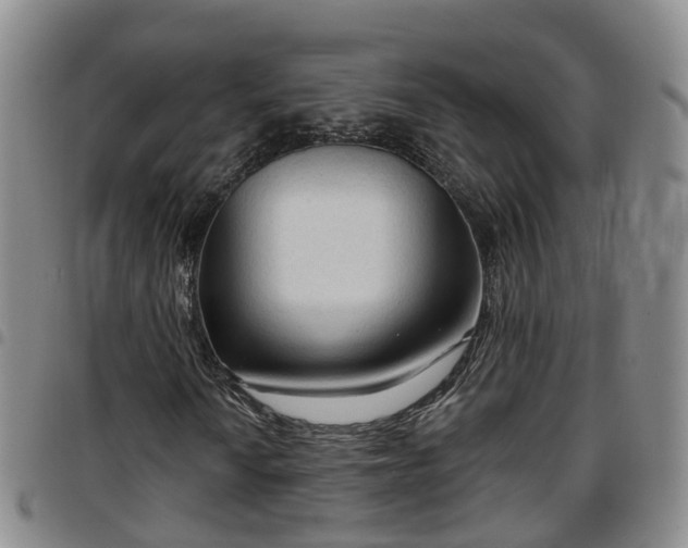 X0000097751010200803141551