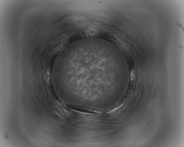 X0000097751011200803141551