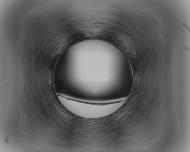 X0000097751012200803141551