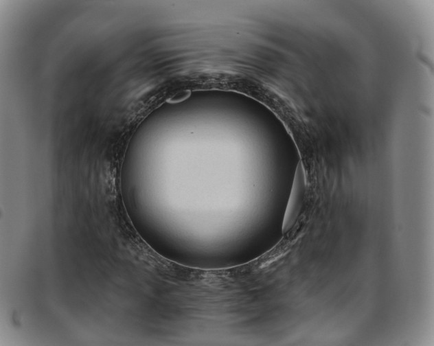 X0000097751013200803141552