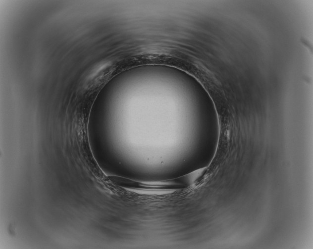 X0000097751014200803141552